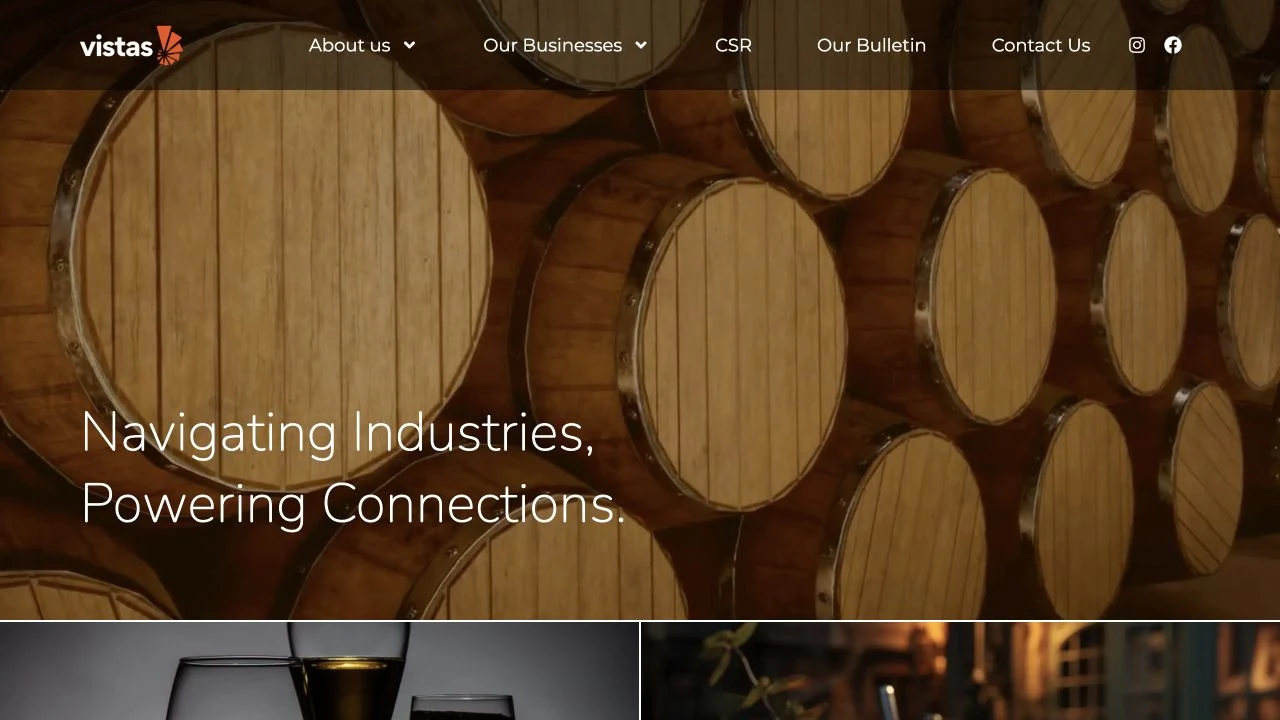Vistas Vision website screenshot